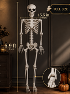 CAMIRUS 5.9FT Life-Size Halloween Skeleton